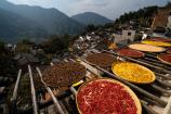 【國風(fēng)畫卷】<廬山、鄱陽湖石鐘山、景德鎮(zhèn)、婺源篁嶺、三清山、夜游望仙谷6日游>